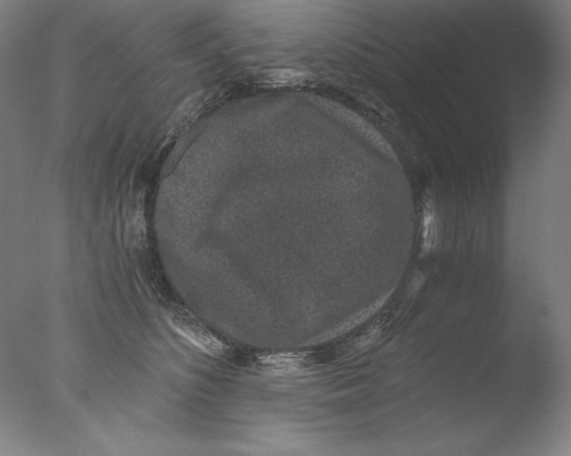 X0000076070516200610202017