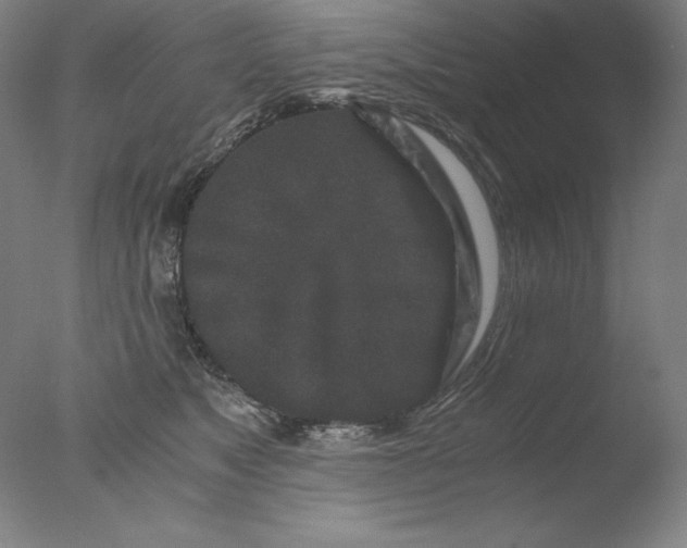 X0000076070517200610202017