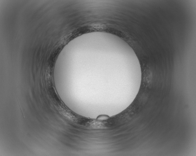 X0000076070518200610202017