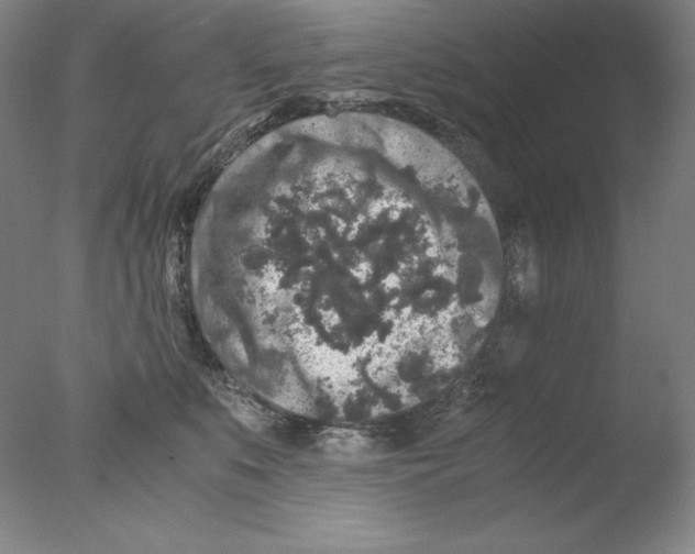 X0000076070519200610202017