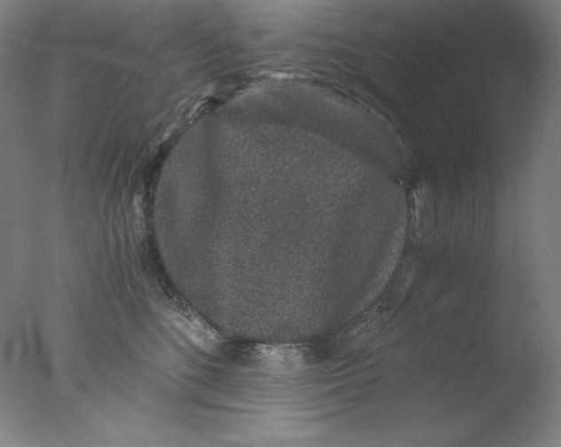 X0000076070520200610202017