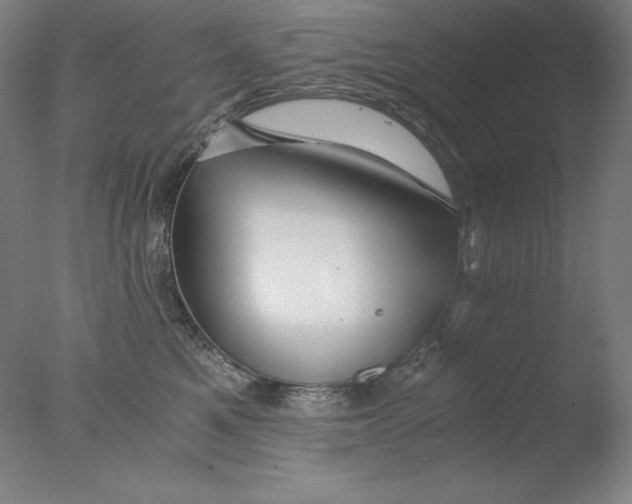 X0000076070521200610202017