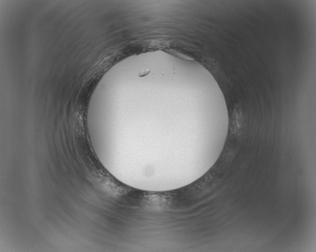 X0000076070522200610202017