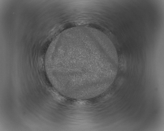 X0000076070523200610202017