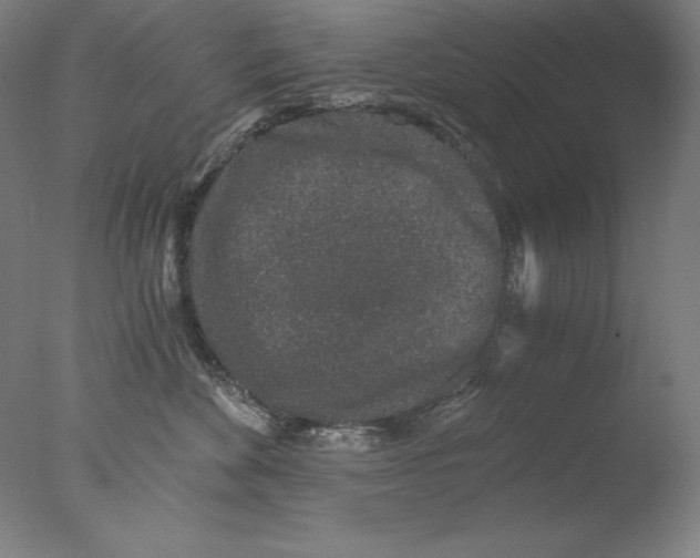 X0000076070524200610202017