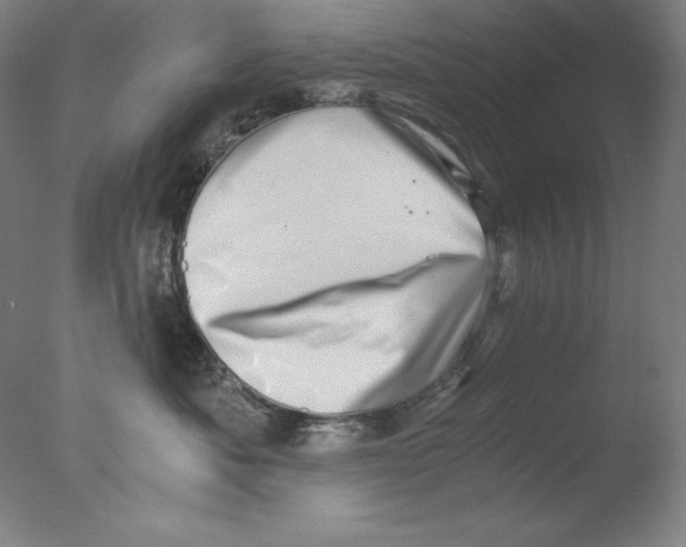 X0000076070525200610202017