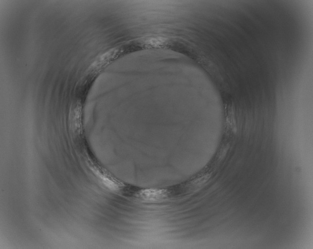 X0000076070526200610202017