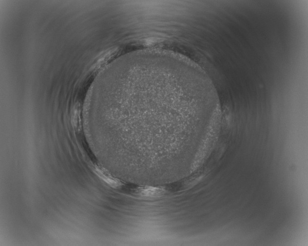 X0000076070527200610202017