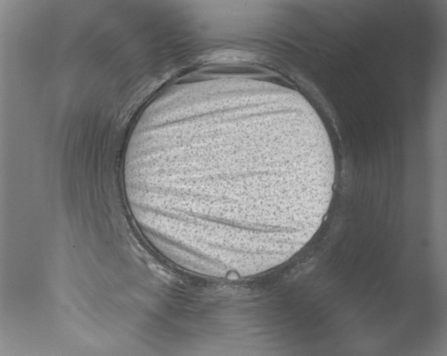 X0000076070529200610202016