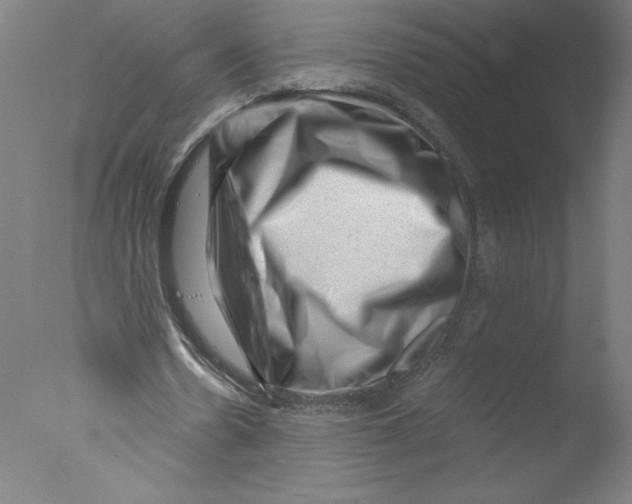 X0000076070530200610202016