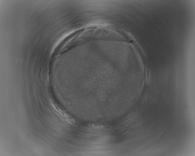 X0000076070531200610202016