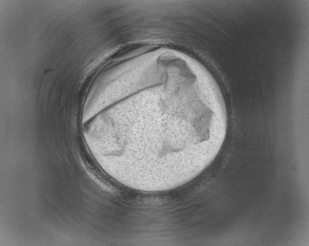 X0000076070533200610202016