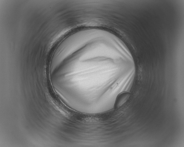 X0000076070535200610202017