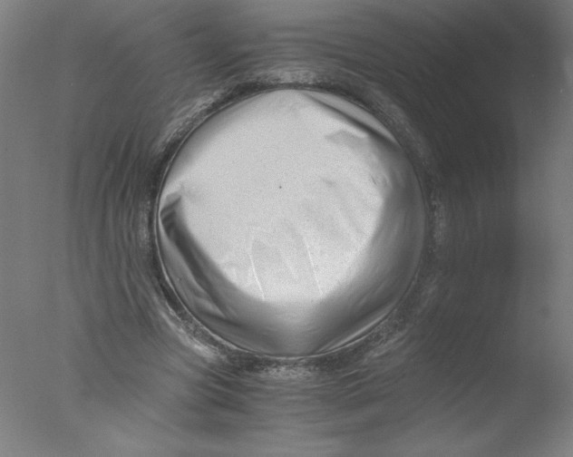 X0000076070537200610202017