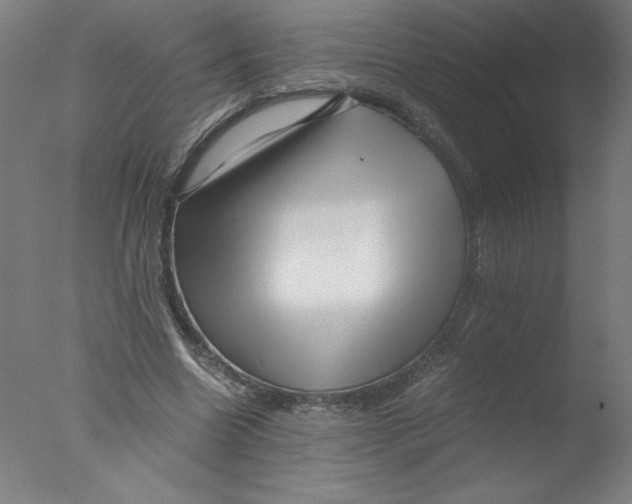 X0000076070538200610202017