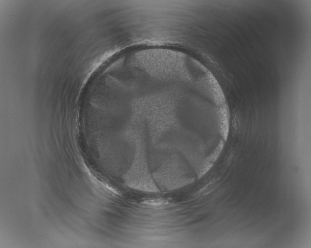 X0000076070540200610202017