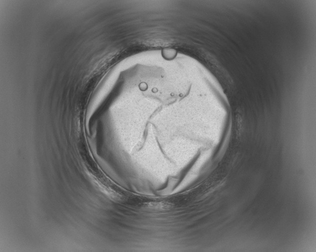 X0000076070541200610202017