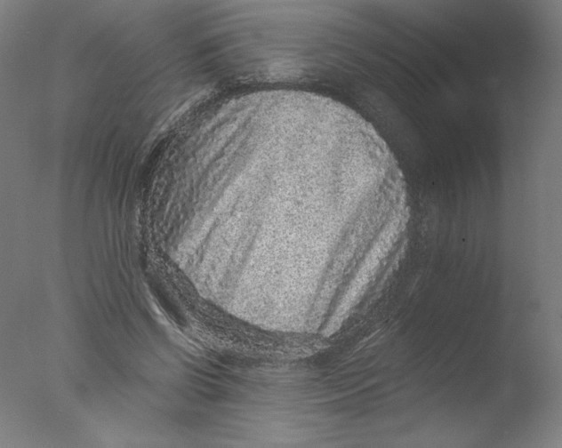 X0000076070542200610202017