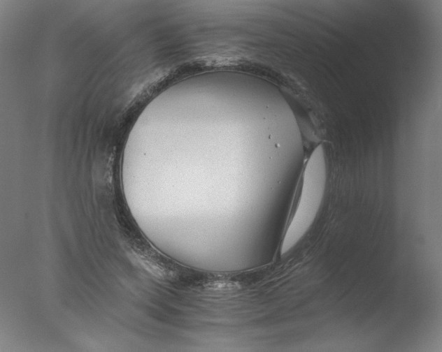 X0000076070543200610202017