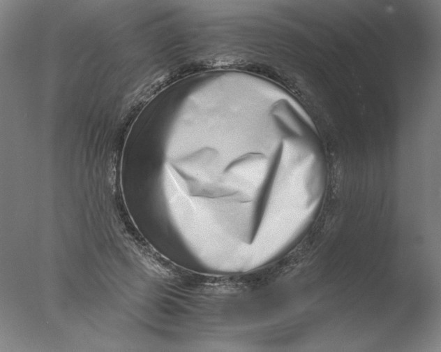 X0000076070545200610202017