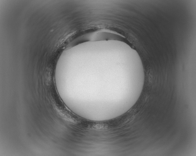 X0000076070546200610202017