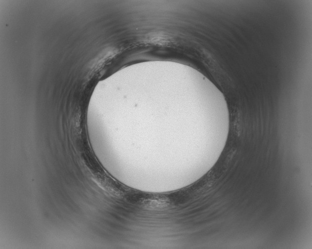 X0000076070548200610202017