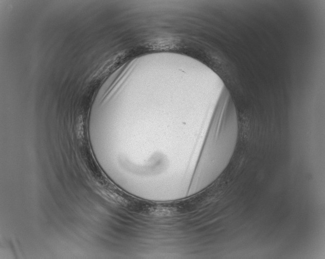 X0000076070549200610202017