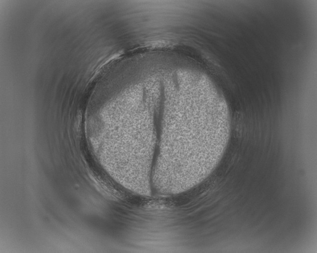 X0000076070550200610202017