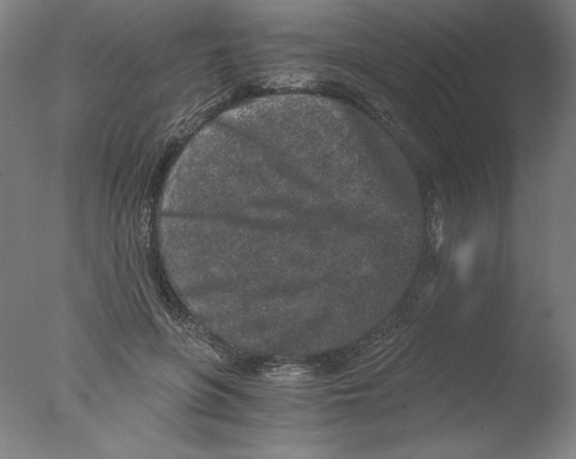 X0000076070551200610202017