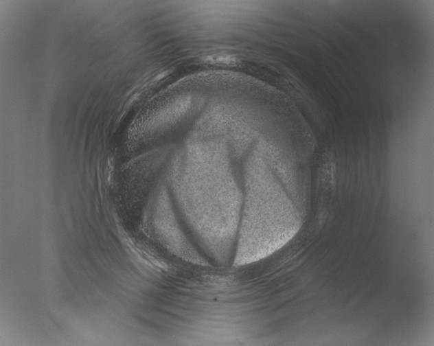 X0000076070552200610202017