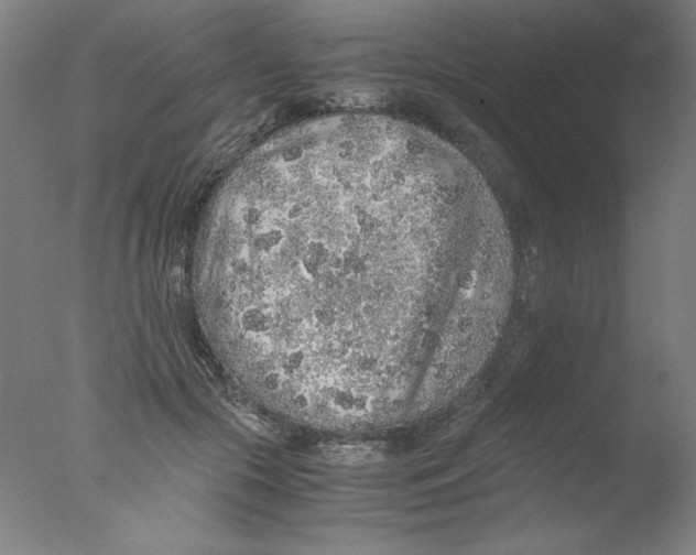 X0000076070553200610202017