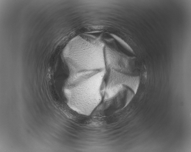 X0000076070555200610202017