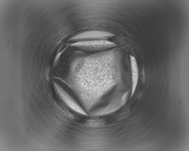 X0000076070556200610202017