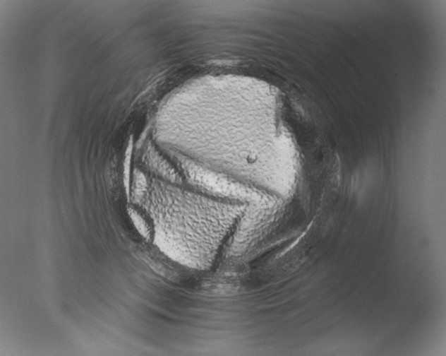 X0000076070559200610202017