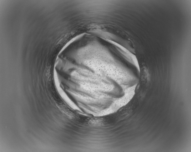 X0000076070560200610202017