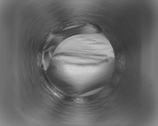 X0000076070562200610202017