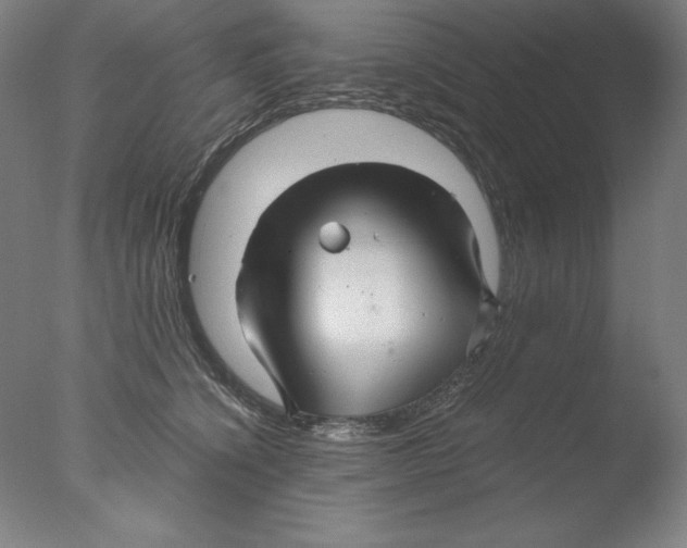 X0000076070564200610202017