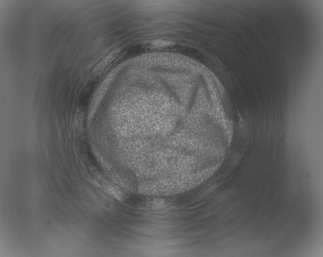 X0000076070565200610202017