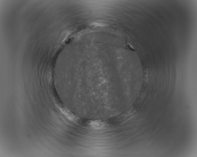 X0000076070568200610202017