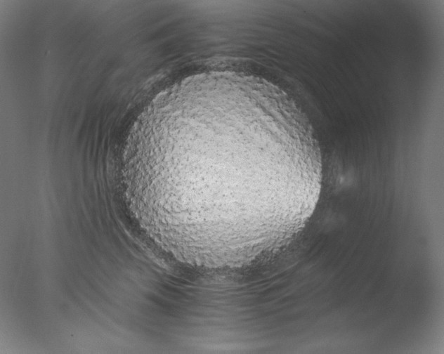 X0000076070569200610202017