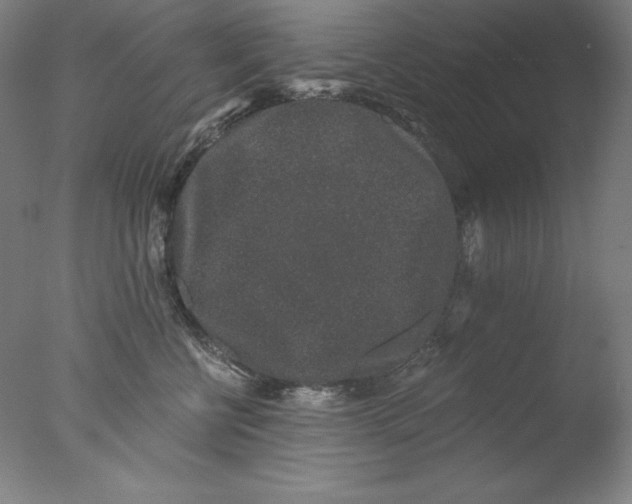 X0000076070570200610202017