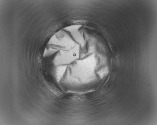 X0000076070571200610202017