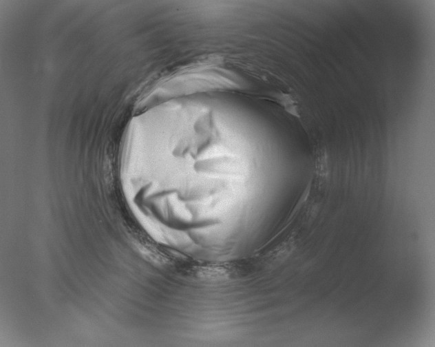 X0000076070572200610202017