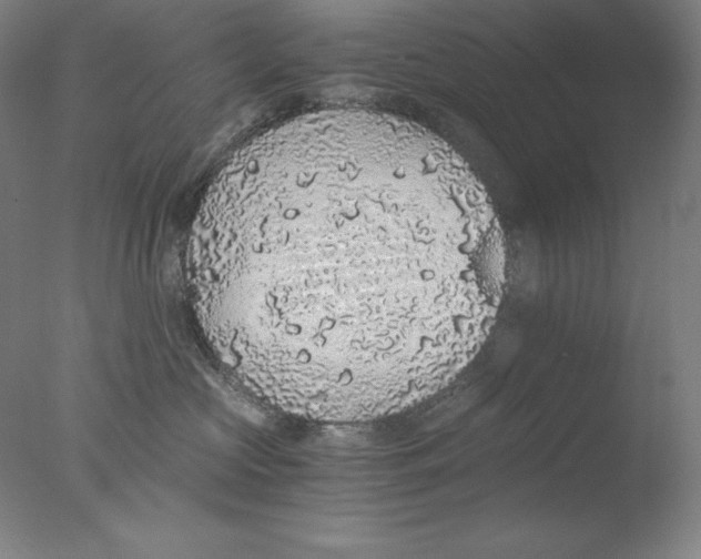 X0000076070573200610202017