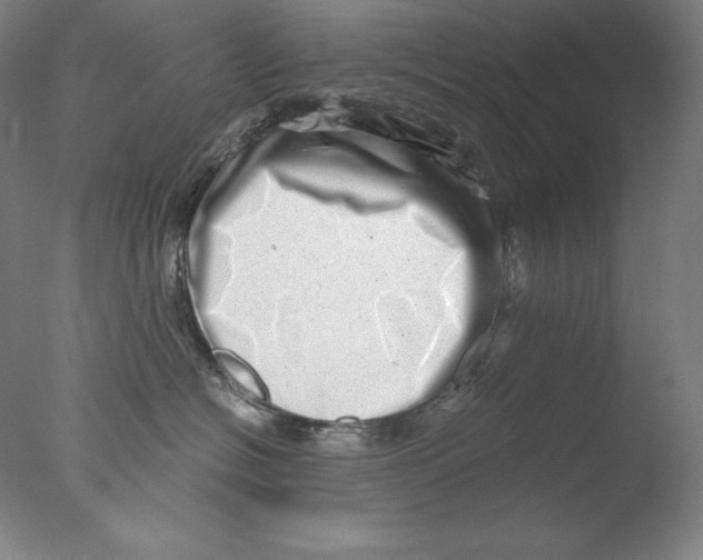 X0000076070574200610202017