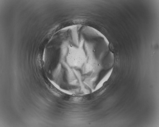 X0000076070575200610202017