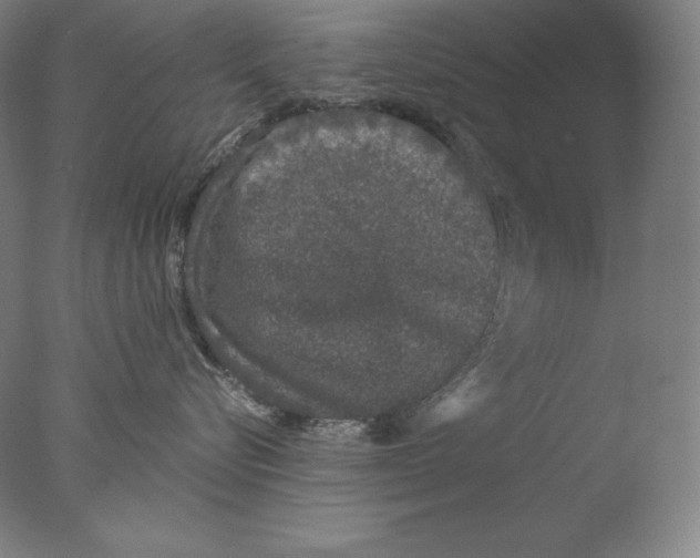 X0000076070576200610202017