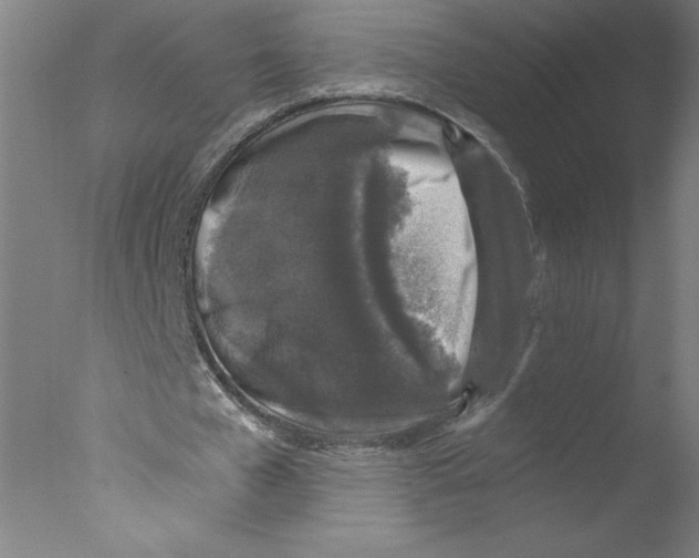 X0000076070577200610202016