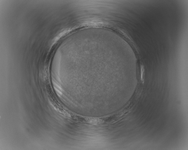 X0000076070579200610202016