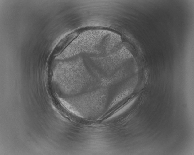 X0000076070580200610202016